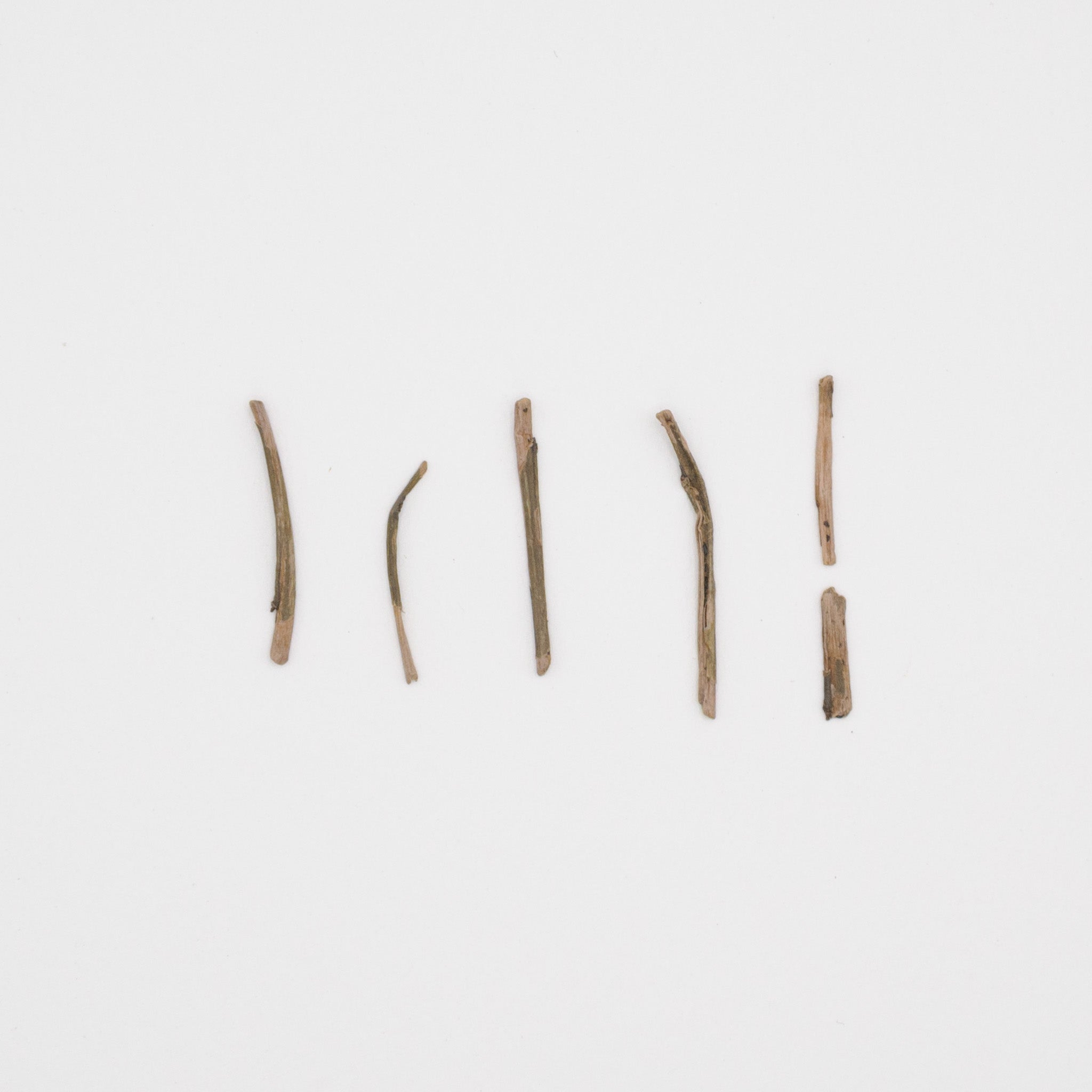 Hojicha karigane – Jour 46