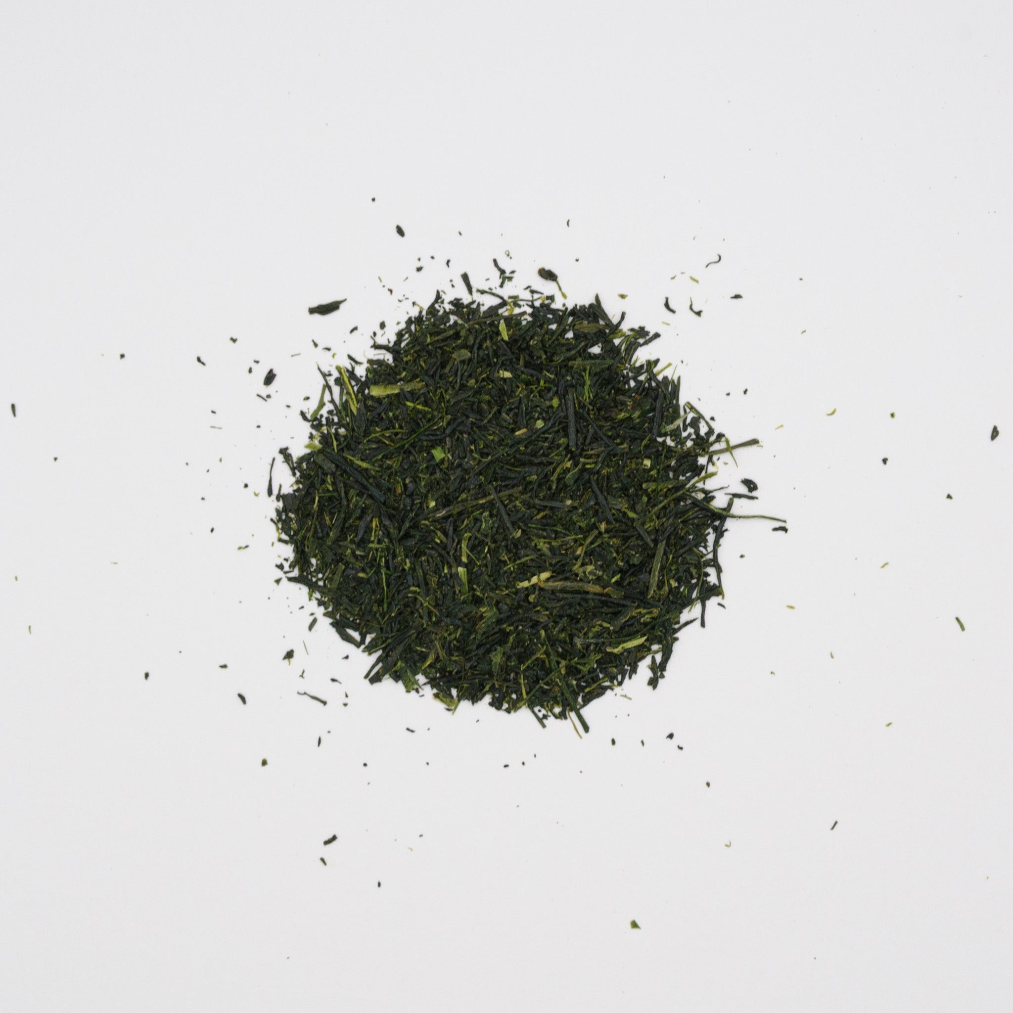 Sencha II – Jour 44