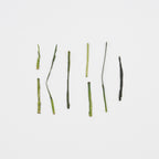 Karigane – Jour 46