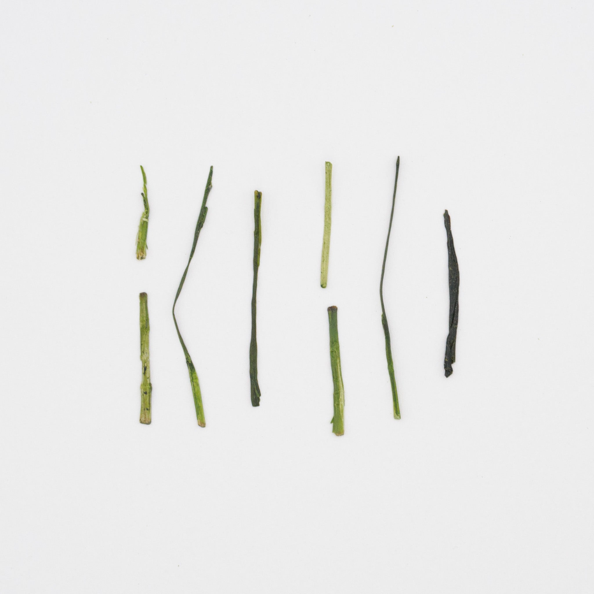 Karigane – Jour 46