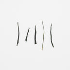 Gyokuro II – Jour 46