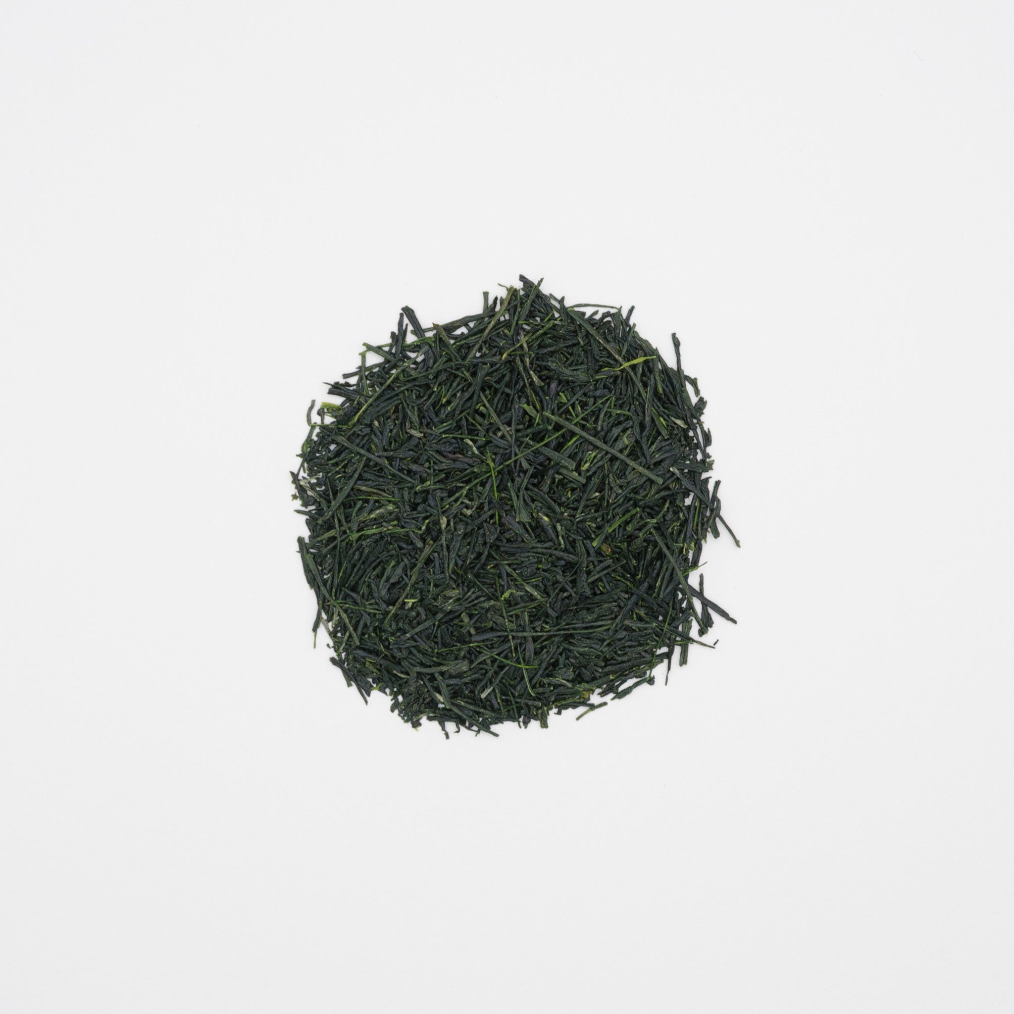 Gyokuro III – Jour 46