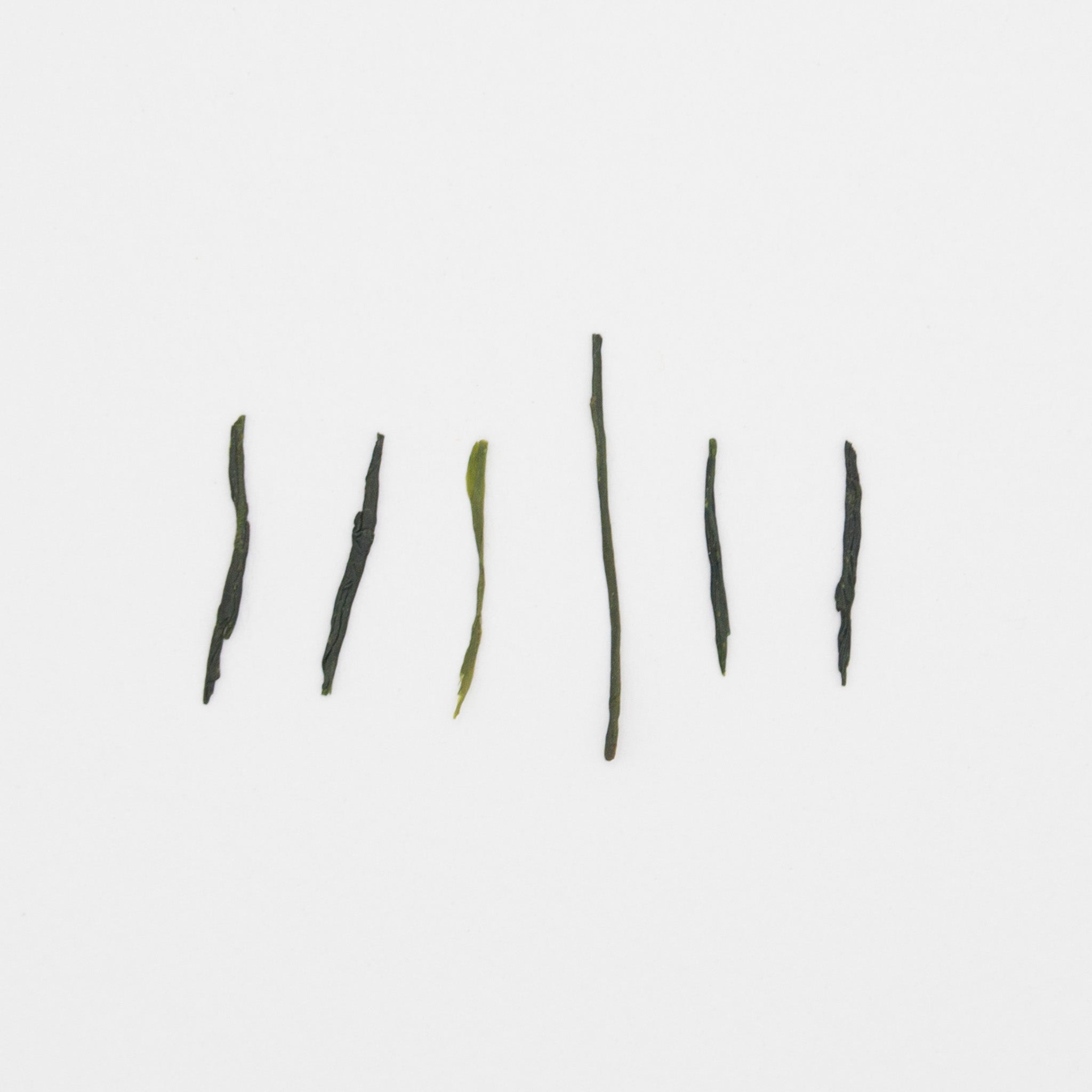 Gyokuro I – Jour 46